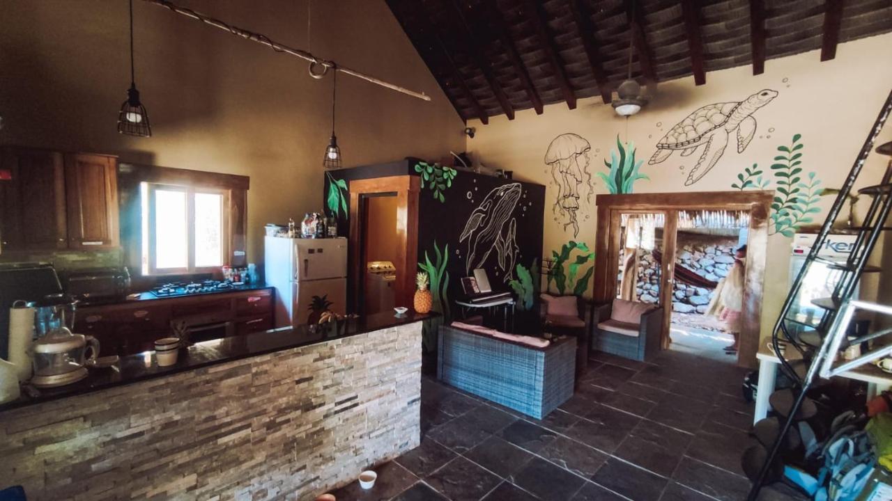 Urbanos Jungle Hostel Santa Catalina Luaran gambar